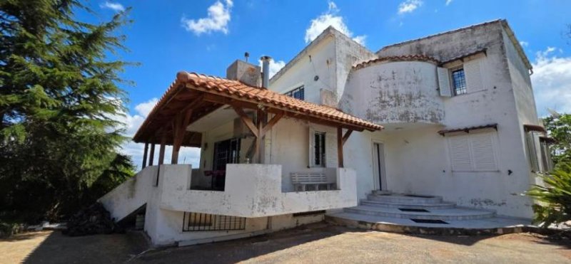 Dafnes Kreta, Dafnes: Freistehendes Haus zu verkaufen Haus kaufen